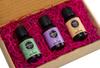 Earth N Pure (Frankincense,peppermint & Lavender) Essential Oils | Pack Of 3 (15 ml each) | 100% Pure, Undiluted, Natural And Therapeutic Grade - Perfect for Aromatherapy, Skin Therapy & More view 2