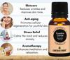 Earth N Pure (Frankincense,peppermint & Lavender) Essential Oils | Pack Of 3 (15 ml each) | 100% Pure, Undiluted, Natural And Therapeutic Grade - Perfect for Aromatherapy, Skin Therapy & More view 3