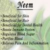 AarVed Neem Leaf Powder (Azardirachta Indica/Margosa) - 200gms | Supports Skin Wellness | Promotes Immunity & Support Low Blood Sugar Level | Herbal Supplement for Blood Purification view 2