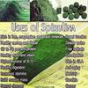 Galway Nutriflow Spirulina Natural Tablet - 100 Tabs view 3