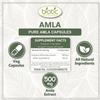 Biotic Amla Capsule - Organic Amalaki Capsules for Immunity Supplements, Amla Capsules for Vitamin C - Amlaki Extract 500mg - 60 Veg Capsules view 4