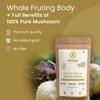Rooted Actives Lions Mane mushroom Extract (60 g) | Memory, Focus, Brain Powder & Nerve Health, 38% Beta Glucans view 2