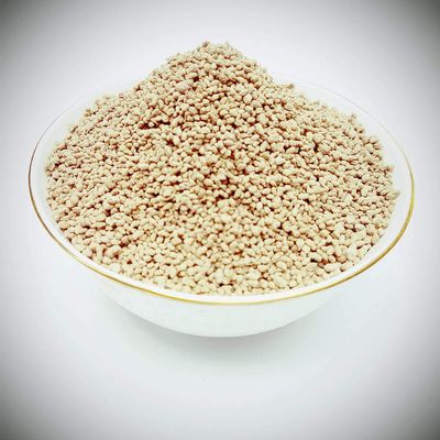 Being Marwari Ajwain Pachak Churan Carrom Seeds Digestive Mukhwas, 200g