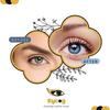 EYCOG Monthly 2 Pair Brown-Hazel Colored 0 Power Contact Lenses for Eyes Men and Women view 3