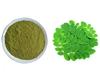 A D Food & Herbs Organic Moringa/Drumstick Plant/Moringa Oleifera Leaves Powder (50 Gms) view 4