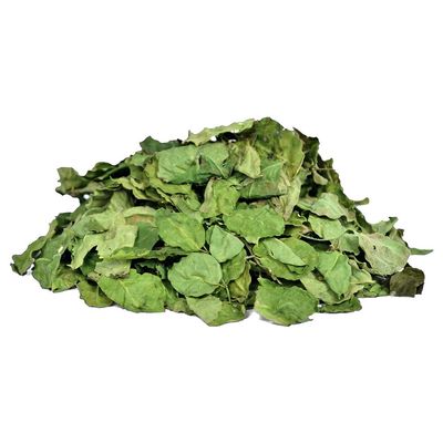 A D Food & Herbs Organic Moringa/Drumstick Plant/Moringa Oleifera Leaves (500 Gms)