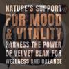 Vitaminhaat Mucuna Pruriens 750 Mg Pack of 90 Capsules view 4