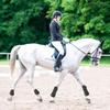 2 PCS Adjustable Horse Leg Boots Equine Hind Leg Guard Equestrian Tendon tection Neoprene Horse Hock Brace view 4