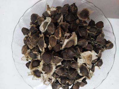 Ambe Ayurveda - Moringa Seeds - Sahajan Beej - Surjana Seed - Drumstick seed - 50gm