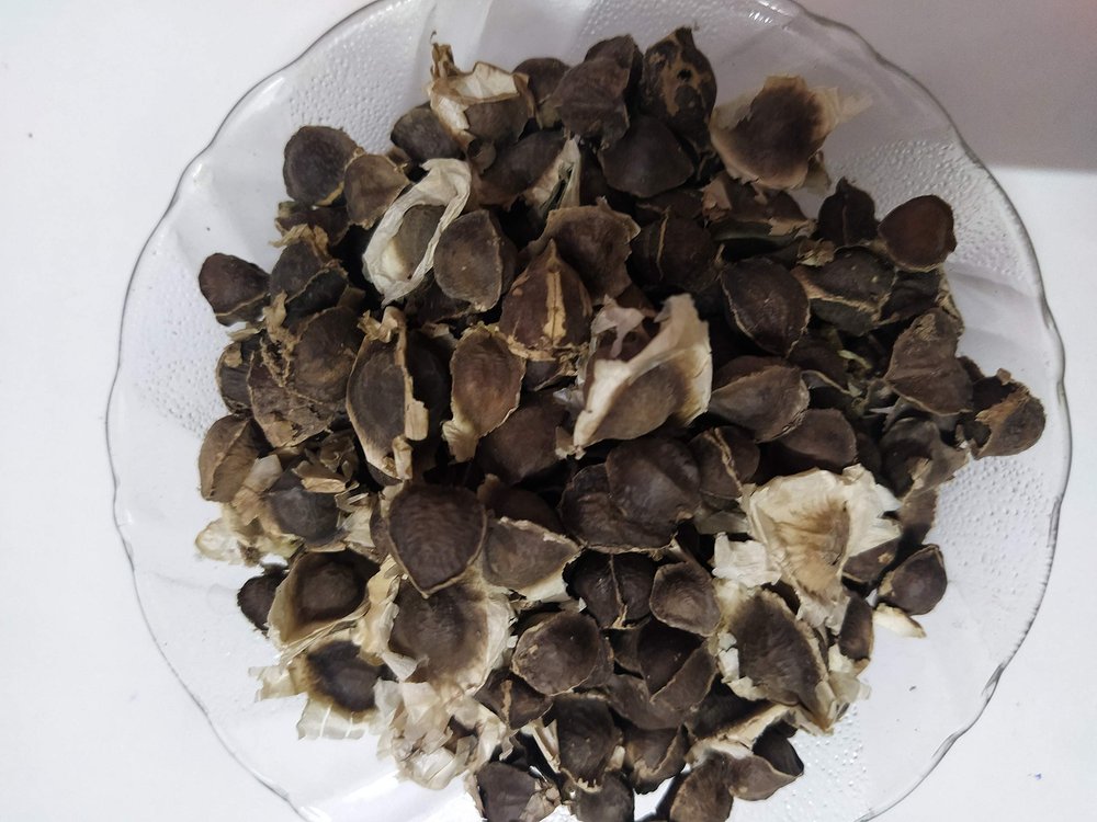 Ambe Ayurveda - Moringa Seeds - Sahajan Beej - Surjana Seed - Drumstick seed - 50gm