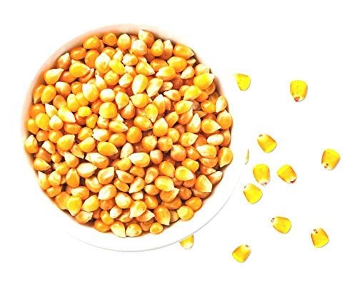 Siddhi Natural Popcorn Kernels (Ready to Cook, Unpopped, Original Makkai Seeds) (1 KG)