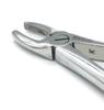 ADDLER DENTAL FORCEP UPPER INCISOR Serrated Handle GGPH 1. Life Time Anti Rusting Warranty view 1