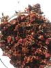 FreshoCartz Red Paan Mukhwas | Culcatta Meetha Lal Paan | Sweet Gulkand Pan Mukhvas Paan Mouth Freshener (1.8kg) view 3