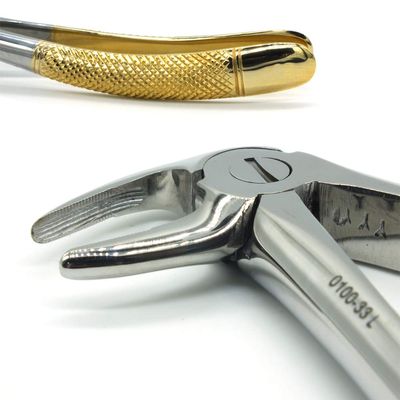 ADDLER DENTAL FORCEP LOWER ROOT SERRATED HANDLE NO GGPH 33. Life Time Anti Rusting Warranty.