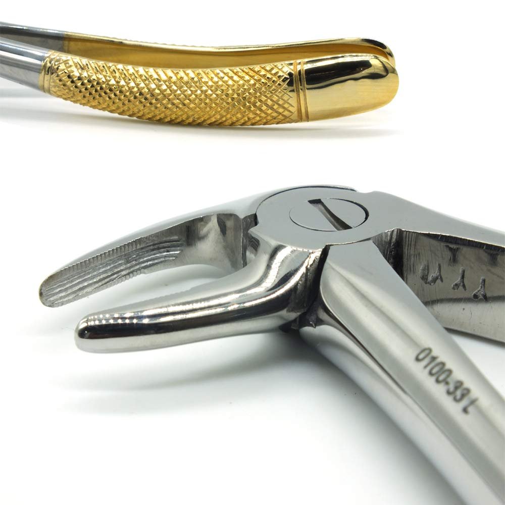 ADDLER DENTAL FORCEP LOWER ROOT SERRATED HANDLE NO GGPH 33. Life Time Anti Rusting Warranty.