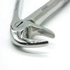 ADDLER DENTAL FORCEP LOWER ROOT SERRATED HANDLE NO GGPH 33. Life Time Anti Rusting Warranty. view 2