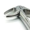 ADDLER DENTAL FORCEP LOWER ROOT SERRATED HANDLE NO GGPH 33. Life Time Anti Rusting Warranty. view 3