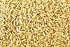 Being Marwari Dry Fruits | Pine Nuts | CHILGOZA, 10g view 2