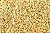 Being Marwari Dry Fruits | Pine Nuts | CHILGOZA, 100g view 2