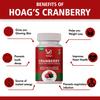 Hoag's Cranberry supplement for Urinary Tract Health Support, Cranberry Extract 800mg per capsule - 60 Veg Capsules view 2