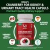 Hoag's Cranberry supplement for Urinary Tract Health Support, Cranberry Extract 800mg per capsule - 60 Veg Capsules view 4