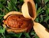 Sky Fruit Kadwa Badam Peeled Sugar Badam - 1 Kg | Diabetes Bitter Almonds | Mahogany Seeds view 3