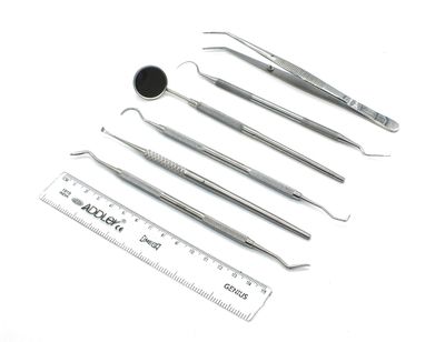 ADDLER Dental Dog Teeth Build Up And Plaque Remover Kit Of Amalgam Carver, Scaler, Universal Scaler, Explorer, Mouth Mirror With Handle, Tweezer. Serrated Double Ended, 6 MM Handle. Qty 5.