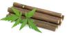 Homtoyz Organic Fresh Neem Chew Sticks (Datoon) for Healthy Teeth and Gums - 20 Sticks view 2