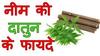 Homtoyz Organic Fresh Neem Chew Sticks (Datoon) for Healthy Teeth and Gums - 20 Sticks view 3