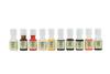 Lezzet Emulsion Assorted 20ml, Pack Of 10 Emulsion (Orange, Mango, Pineapple, Lemon, Khus, Red Rose, Kala Khatta, Strawberry, Cola, Litchi) view 2
