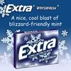 Wrigley's Extra Winterfresh Long Lasting Flavor, 2 x 40.5 g view 4