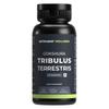 Nutrabay Wellness Tribulus Terrestries (Gokshura) - Natural Support for Energy, Performance & Stamina & Muscle Growth - 1000mg, 60 Veg Capsules view 1