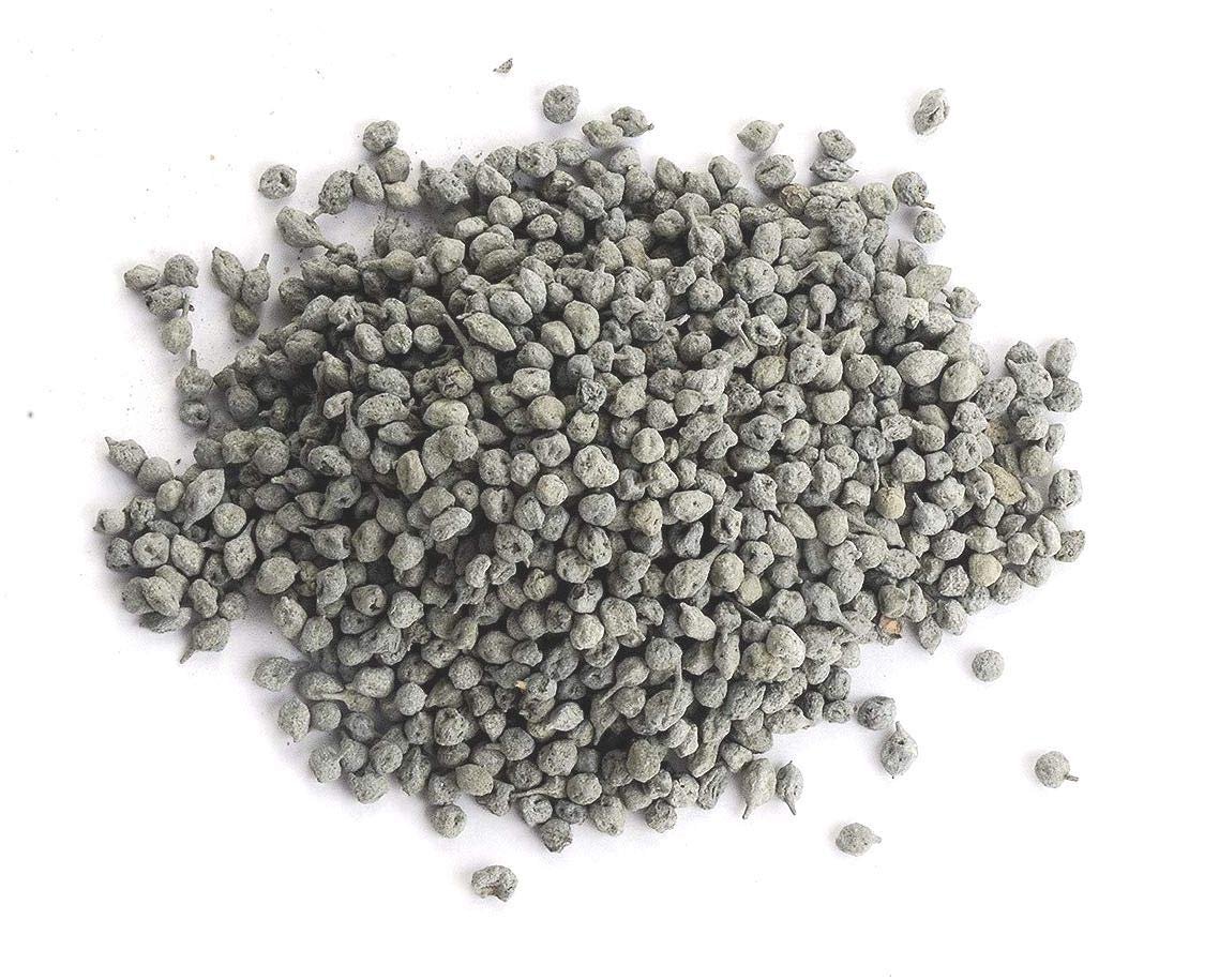 MARWAR Organic Dried Ker 200GM- PACK | Dried Capparis Decidua, Capers, Kair, Ker, & Keir | (Rajasthani/Marwari Origin) Panchkutta Ingredient