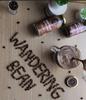 The Wandering Bean - Death by Hot Chocolate 150g + Nutty Hazelnut 60g view 3
