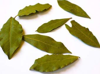 A2 MASALA Bay Leaf (Tej PATTA) 200 GM