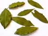 A2 MASALA Bay Leaf (Tej PATTA) 200 GM view 1