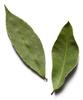 A2 MASALA Bay Leaf (Tej PATTA) 200 GM view 2