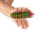 ACS Acupressure n Magnetic Shoe Sole for Heel Pain with SuJok Ring and Reflexology Chart for Hand n Feet (Yellow) view 3