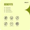 Boldfit Plant Based Protein Powder For Men & Women - Vegan Plant Protein Powder For Men & Women - Supports Metabolism, Immunity & Antioxidant - Cafe Mocha 1kg view 4