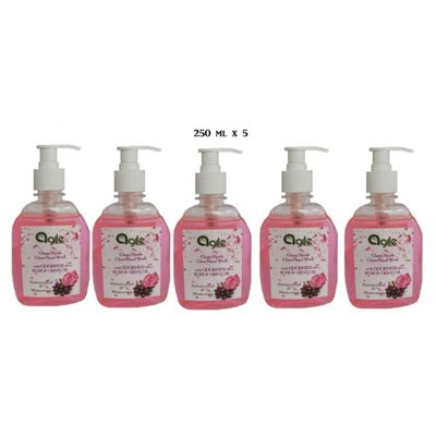 Clean Hands Clear Hand Wash 5 X 250 ML = 1.25 L Premium grade quality Hand Wash Pump Dispenser (5 x 250 ml)