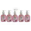 Clean Hands Clear Hand Wash 5 X 250 ML = 1.25 L Premium grade quality Hand Wash Pump Dispenser (5 x 250 ml) view 1