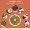 FLAVVORA Amritsari Combos (Pack of 2,Handmade,Punjabi Papad) (Black Pepper/Anaardana Papad, 400gm(Pack of 2-200gm each)) view 3