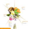 Sacral Chakra Essential Oil Roll-On Blend by Aromafume | 10ml/0.33 fl oz | Swadisthana | Aromatherapy Oils for Chakra Healing | Orange & Patchouli Extracts | Chakra Incense for Meditation, Yoga, Reiki view 4