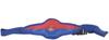 Acs-27 Diabetes Belt Magnetic Massager (Multicolor) view 1