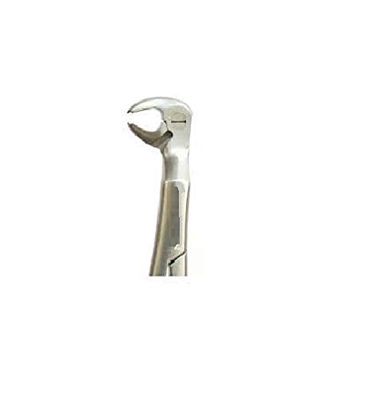 ARINEO Tooth Extraction Forcep No 79 Lower Third Molars & Wisdoms (Pack Of 1)