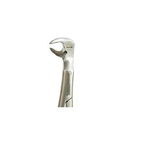 ARINEO Tooth Extraction Forcep No 79 Lower Third Molars & Wisdoms (Pack Of 1)