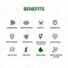 EKTEK Amla Veg. Herbal Remedy Immunity Booster 60 Veggie Capsules view 3