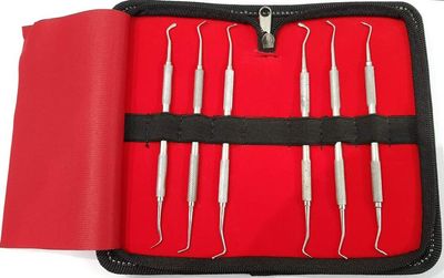 BSI Premium Quality Dental Scaler Set of 6 Pieces Stainless Steel