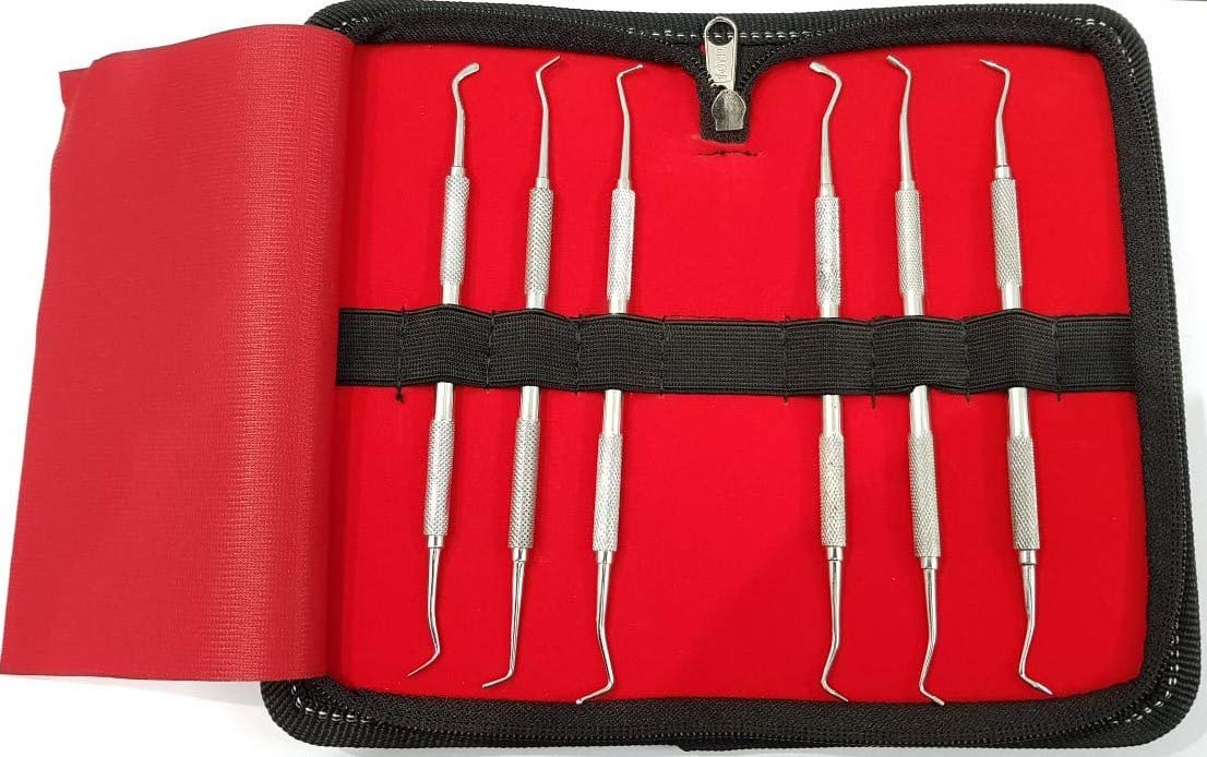 BSI Premium Quality Dental Scaler Set of 6 Pieces Stainless Steel