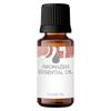 Aromazeia Clove Essential Oil | Exotic Aroma Diffuser Oil | Ideal For Aromatherapy & Meditation | Organic Essential Oil | Undiluted, Therapeutic Grade & Steam Distilled - 10ml view 1